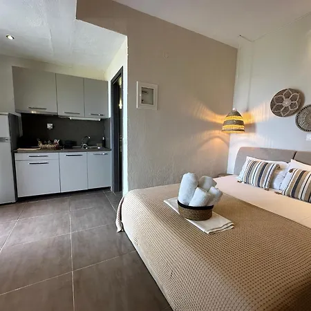 Apartament Anatoli Halkidiki *