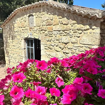 Anatoli Halkidiki Appartement *